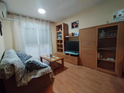 Una televisión o centro de entretenimiento en Apartamento Alhondiga Hervás