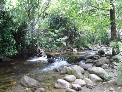 Paisaje cerca de este apartamento