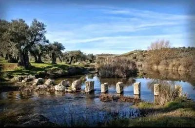 Paisaje cerca de este apartamento