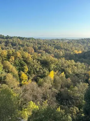 Paisaje cerca de esta casa o chalet