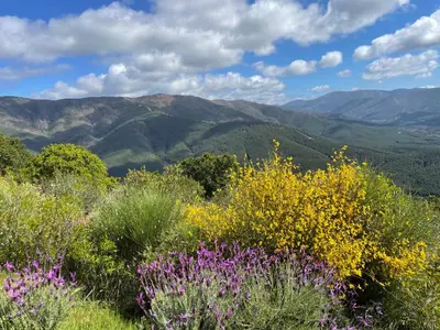 Paisaje cerca de este apartamento