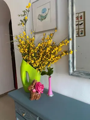 Plano de La casa de Alejandra