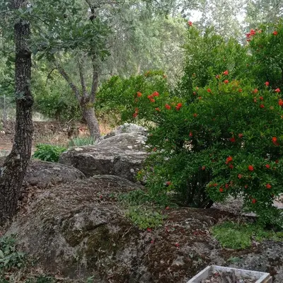Jardín al aire libre en Casa Rural Viñas Perdidas