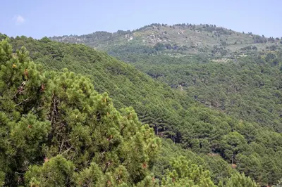 Paisaje cerca de este apartamento
