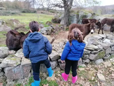 Animales en la villa o alrededores
