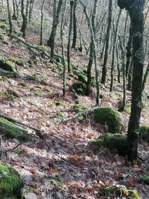 Paisaje cerca de esta villa
