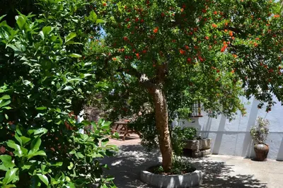 Jardín al aire libre en El Escudo de Calatrava Alojamiento 5 Estrellas Verdes