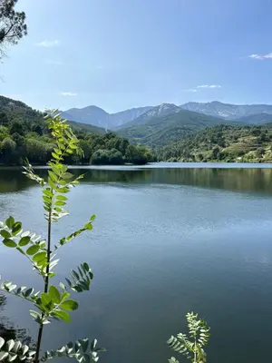 Paisaje cerca de este apartamento