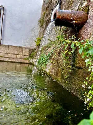 Paisaje cerca de este apartamento