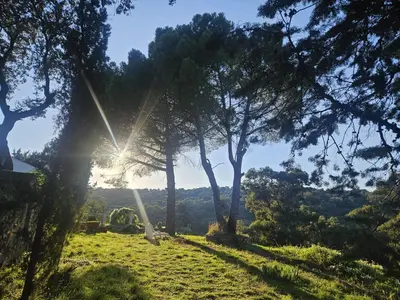 Paisaje cerca de esta casa o chalet