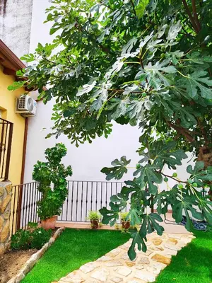 Jardín al aire libre en La casita de Ra