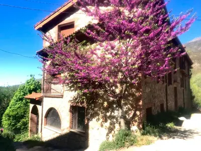 Paisaje cerca de este apartamento