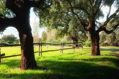 Jardín al aire libre en Wishome- Espectacular casa con piscina en finca privada, con servicios de hotel