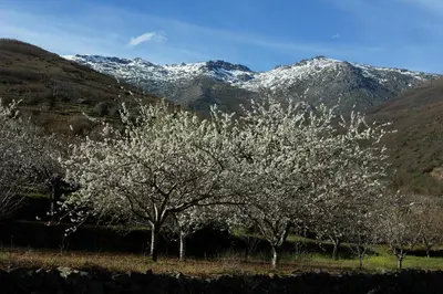 Paisaje cerca de este hostal o pensión