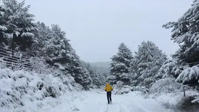 Artesano II en invierno