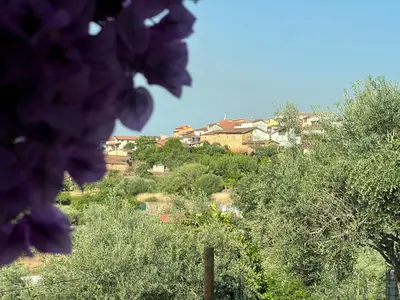 Paisaje cerca de este apartamento