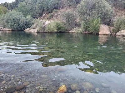 Paisaje cerca of this country house