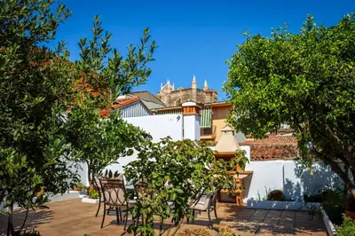 Jardín al aire libre en El Patio de los Naranjos