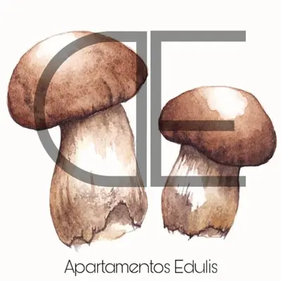 Plano de Edulis 2