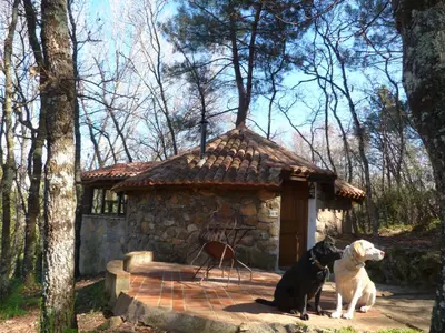 Mascotas con sus dueños en Casa Rural Crisol Spa