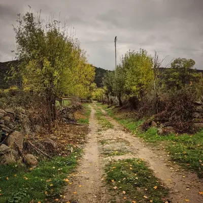 Paisaje cerca de esta casa o chalet