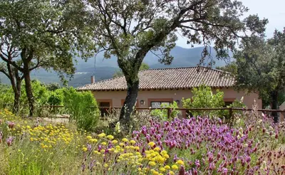 Paisaje cerca de esta casa o chalet