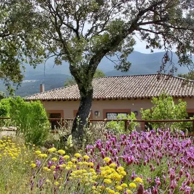 Casa Rural La Joyona