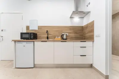 Una cocina o zona de cocina en CMDreams Platinium- Apartamentos turísticos en el centro de Mérida