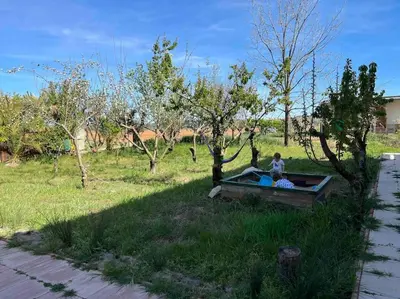 Jardín al aire libre en CASA RURAL EN BOSQUE DE PALMERAS