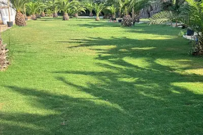 Jardín al aire libre en CASA RURAL EN BOSQUE DE PALMERAS