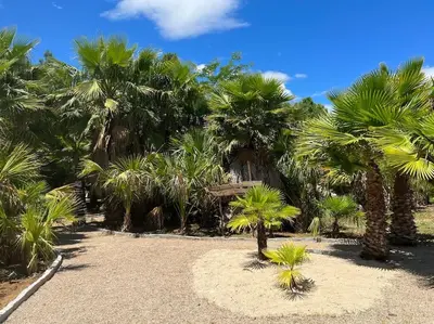 Jardín al aire libre en CASA RURAL EN BOSQUE DE PALMERAS