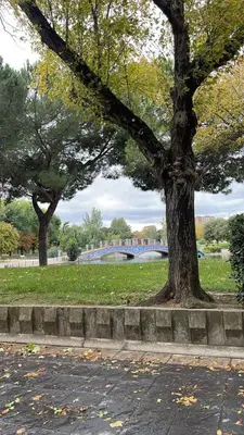 Paisaje cerca de este apartamento