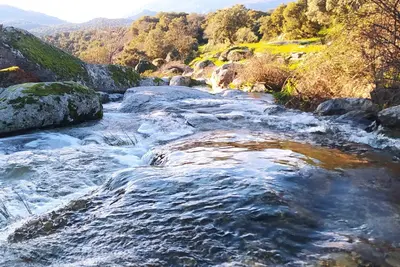 Paisaje cerca de este apartamento