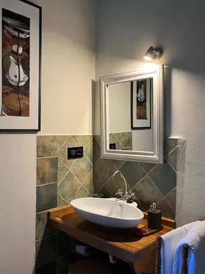 Un baño de Altillo del Aravalle