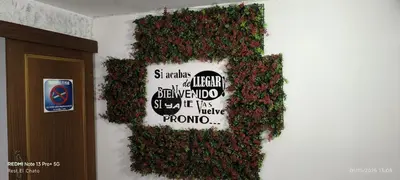 Certificado, premio, señal o documento que está expuesto en Hostal Hotel EL Chato