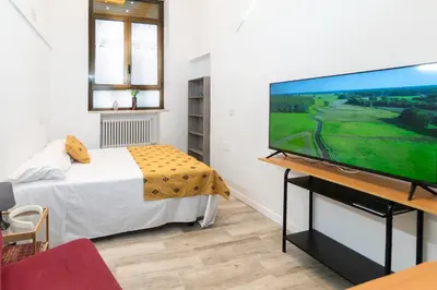 Una televisión o centro de entretenimiento en Don Víctor