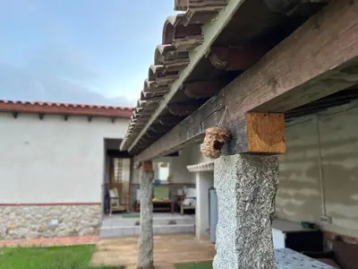 Edificio en el que se encuentra la casa o chalet