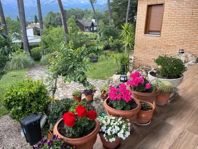 Jardín al aire libre en AfriKana