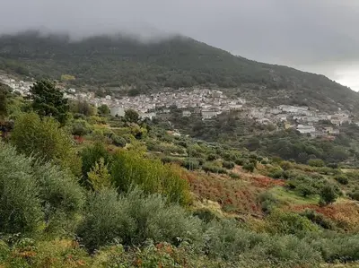 Paisaje cerca de esta casa o chalet