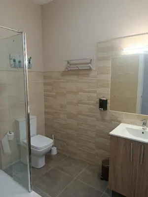 Un baño de ApartamentosTuristicos Avila Puerta del Alcazar 0-1