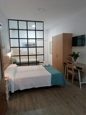 Cama o camas de una habitación en Apartamentos turisticos Avila Puerta de San Vicente 0-2