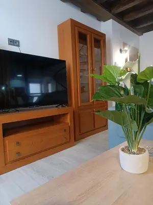 Una televisión o centro de entretenimiento en Apartamentos turisticos Ávila Puerta del Mariscal 1-1