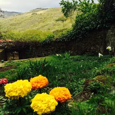 Paisaje cerca of this country house