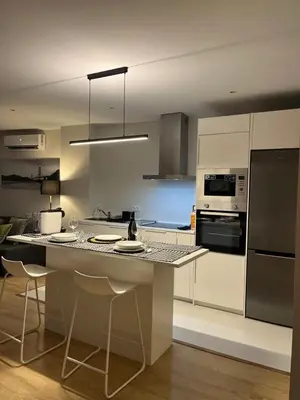Una cocina o zona de cocina en Apartamento DONOSO CORTES, 27