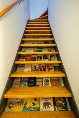 Biblioteca en el apartamento