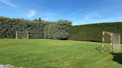 Jardín al aire libre en CASA RURAL PRIVADA BENADIZOS ÁVILA