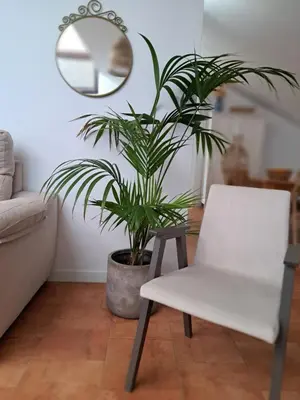 Zona de estar de Los Patios.