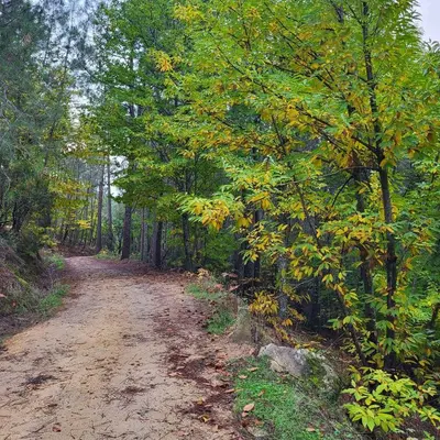 Paisaje cerca de este apartamento