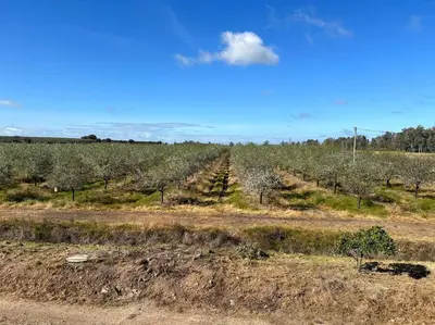 Paisaje cerca de este apartamento