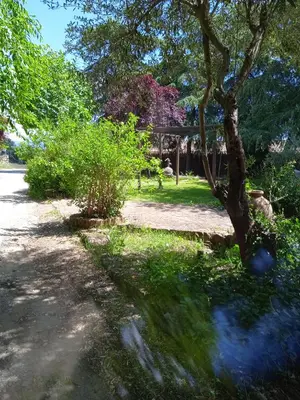 Jardín al aire libre en La Casona De Jaraiz